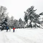 Отель Medlov 3*