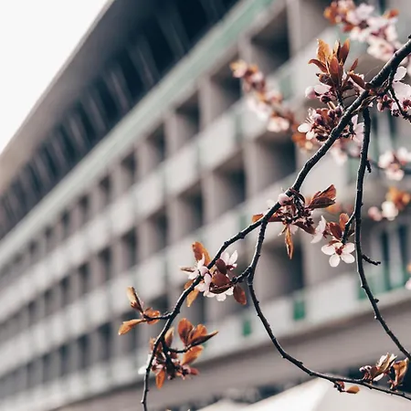 Medlov Nove Mesto na Morave