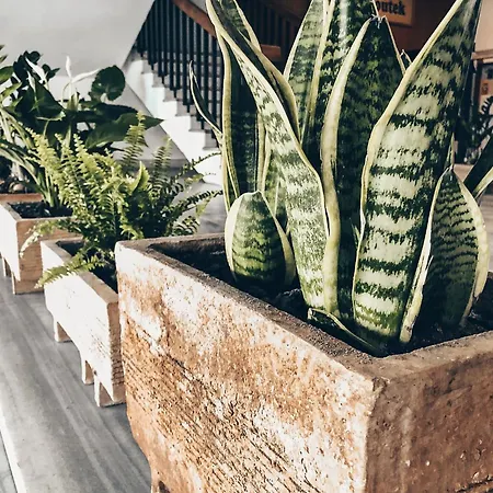 Medlov Nove Mesto na Morave