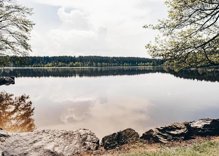 Medlov Nove Mesto na Morave