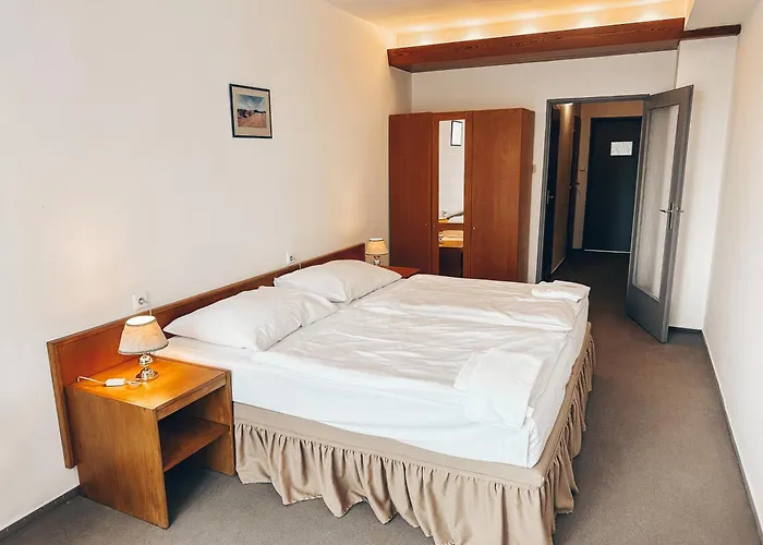 Hotel Medlov