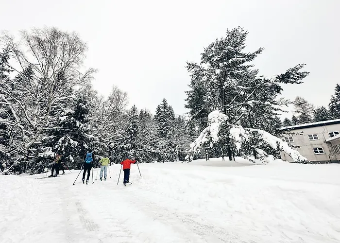 Hotel Medlov 3*