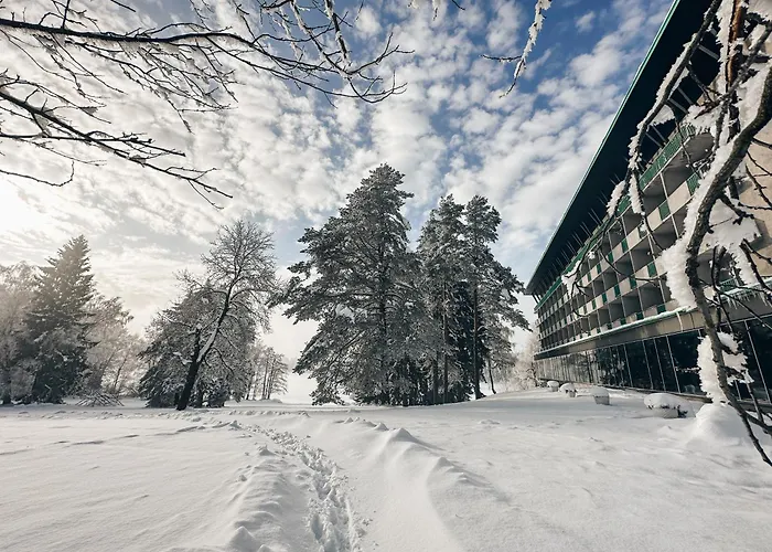 Medlov Hotel Nove Mesto na Morave