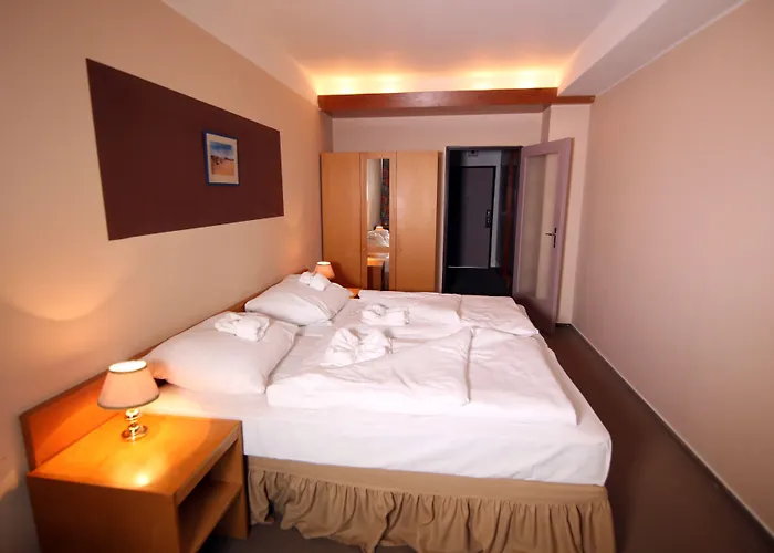 Medlov Hotel 3*