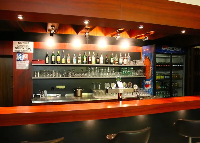Hotel Medlov 3*